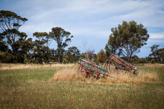 Two vintage wooden carts in the field near traditional australian winery on a lovely sunny day on Kangaroo Island, Australia