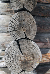 The old wood texture with natural patterns. Cross-section of the old tree