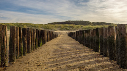 Oostkapelle - Dünen - Niederlande