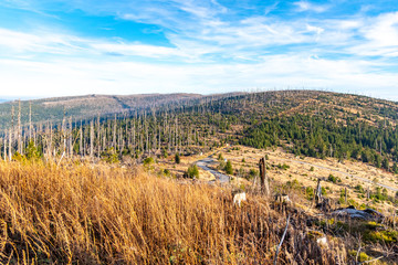 Fototapeta na wymiar Devasted forest in caues of bark beetle infestation. Sumava National Park and Bavarian Forest, Czech republic and Germany. View from Tristolicnik, Dreisesselberg, to Plechy, Plockenstein.