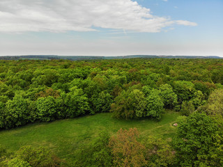 Fototapeta na wymiar Beautiful green forest in Germany from above