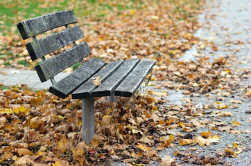 Bench with path in autumn park. View of an empty wooden bench and a pebble path in autumn park, with leaves.