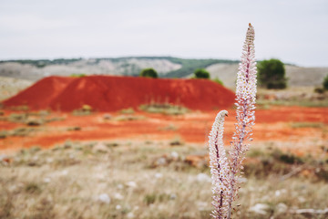 Bauxite cave in Spinazzola