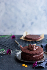 Vegan Triple Chocolate Cake