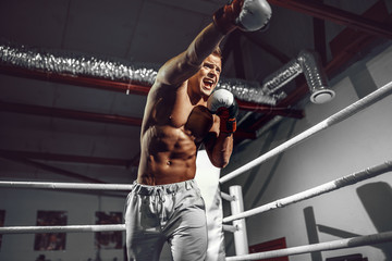 Fototapeta na wymiar Boxer. Confident young boxer punching, training on the boxing ring