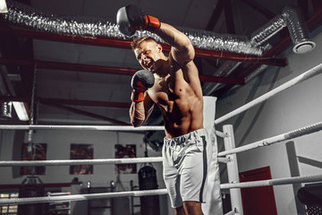 Boxer. Confident young boxer punching, training on the boxing ring