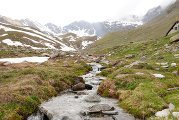 Mountain river descending from glacier, surrounded by wild environment on foggy day. - Grand...