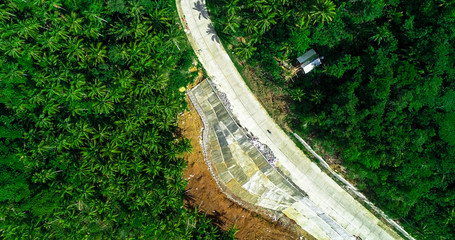 Aerial view of palms forest, road and mountain on the Siargao island. Philippines