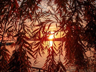 Sunset sur le Lac Léman
