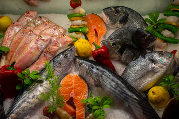 fresh fishes and seafood on ice in market for sale, close up 