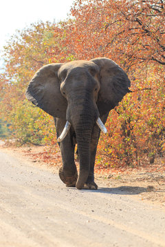 Sudafrica