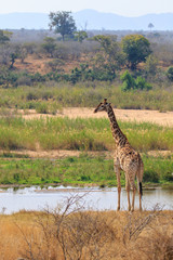 Sudafrica