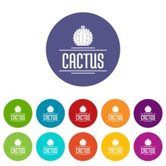 Nature cactus icons color set vector for any web design on white background