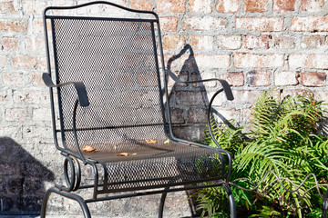 Iron lawn chair next to fern