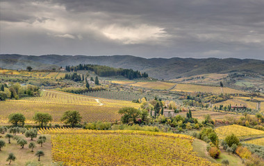 Fototapeta na wymiar Panorama de Florence -Toscane - Italie