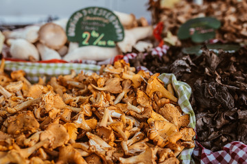 vegan or vegetarian alternative - various lovely healthy mushrooms at traditional farmers market