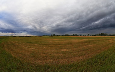 field and blue sky