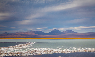 San Pedro de Atacama Desert  Nature Landscapes