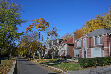 Fototapeta na wymiar Tree lined residential street with fall colors