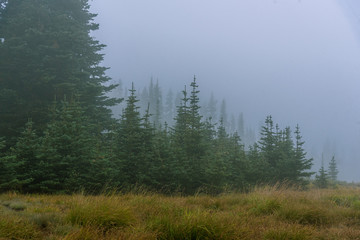 Foggy Mountains Hide Their Secrets