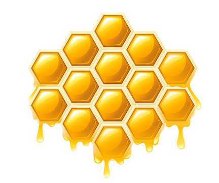 Honeycomb with honey drops. Sweet honey, logo for shop or bakery. Flat vector illustration isolated on white background