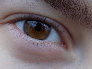 Fototapeta premium close up of human eye