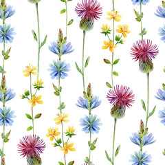 Watercolor seamless floral pattern with chicory, tutsan, and thistle