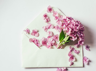 Beautiful fresh  purple  flowers In an envelope isolated on white  background