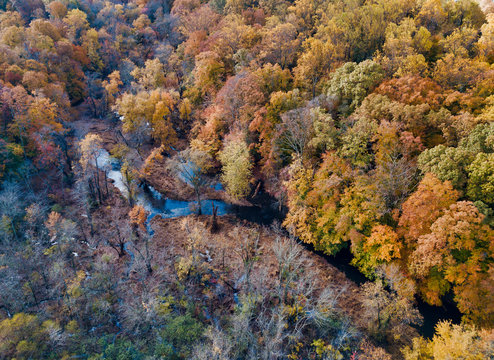 Aerial drone image of colorful autumn trees in the northeast unitd states with a small brook or creek flowing around the trees