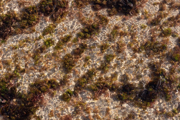 sand and small mossy algae on the ocean floor in the tide zone under a thin layer of water and waves