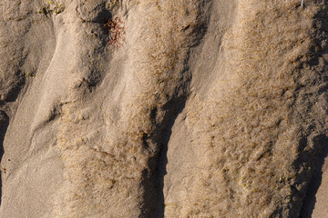 chipped stone with two deep hollows covered with wet smooth sand