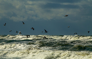 Storm on the Baltic sea