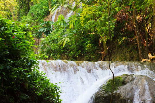 Fototapeta Flowing waterfall off smooth rocks with green foliage