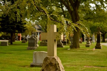 Old Cemetery of St. Boniface in Chicago-One of the first German catholic cemeteries in Chicago dating to 1863. It features Civil War Monuments.