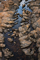 elongated puddle with clear water and zigzag edges formed by solidified lava covered with red bloom