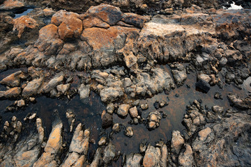 toothy puddle with shores of fancy lava with a red bloom