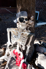 Obraz na płótnie Canvas Pirate Halloween skeleton sitting under a tree. St Paul Minnesota MN USA