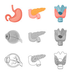 Vector illustration of body and human symbol. Collection of body and medical stock vector illustration.