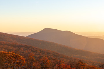 The sun glows over the red, yellow, and orange autumnal colors of the trees in the forest during fall in Shenandoah National Park