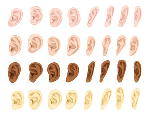 Ear vector human eardrum ear rope hearing sounds listening body part and deafness silence illustration sensory set female male ears isolated on white background - obrazy, fototapety, plakaty