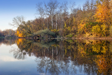 Golden autumn forest over the river