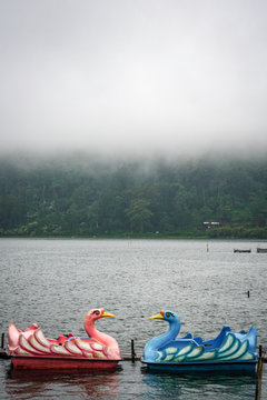 A pair of blue and pink swan paddleboats sit facing each other below a layer of fog on the calm waters of Lake Bratan in Bali, Indonesia