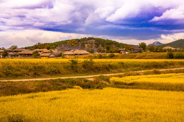 Fototapeta premium Hahoe Folk Village of South Korea is beautiful in autumn.