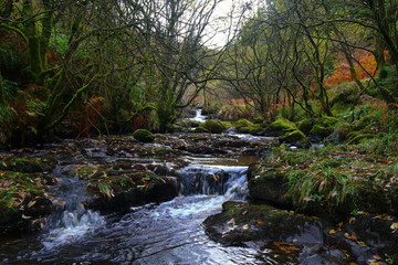 Obraz premium Glenariff river