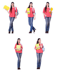 Fototapeta premium Young female student isolated on white
