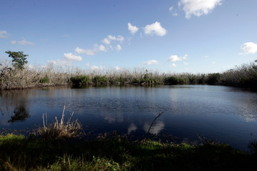 A lake in remote South Florida area