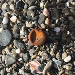 Washed up bottle top 