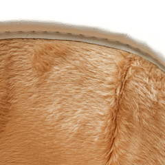 Parts of footwear on a white background.