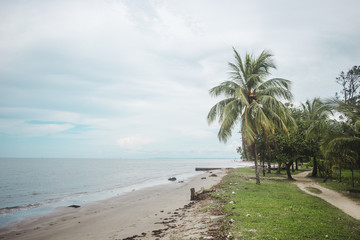 Fototapeta na wymiar Palm trees on a white sand paradise beach on an overcast day in Livingston, east Guatemala