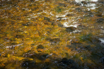 River